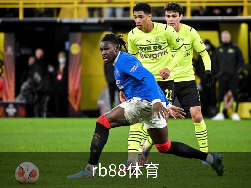 rb88体育简介